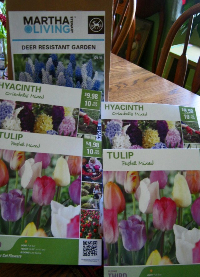 December 3, 2011 008