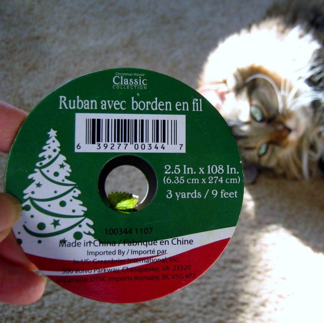 catnip and rusty 009