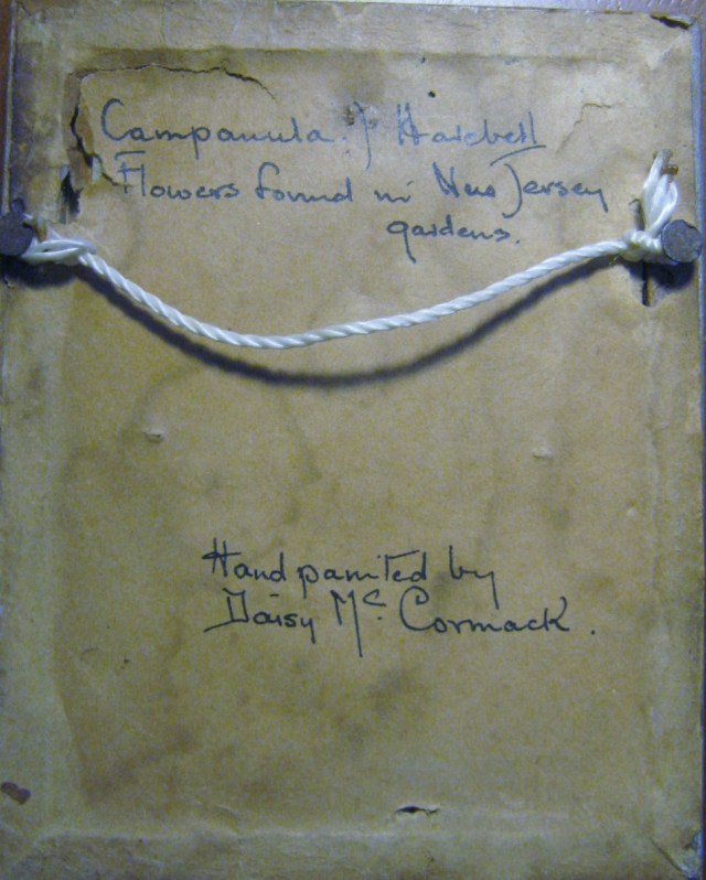 daisy mccormack back