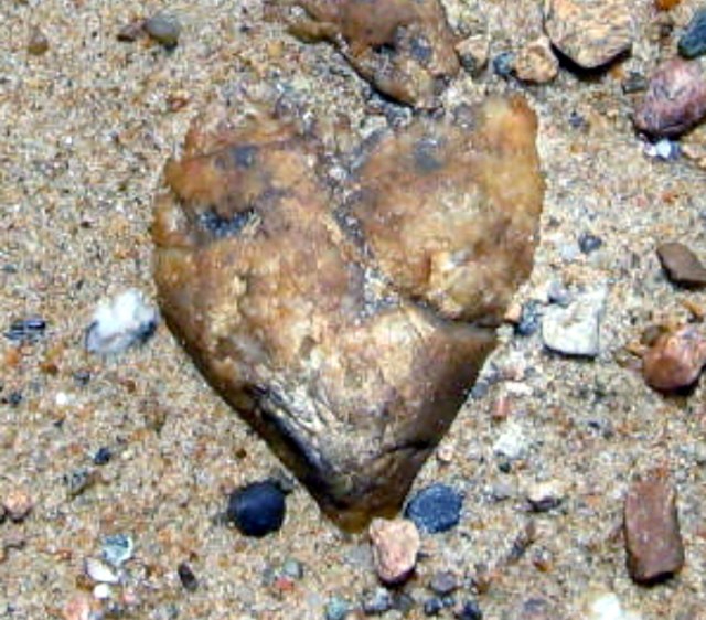 Heart of Stone - Grace's Covesquared