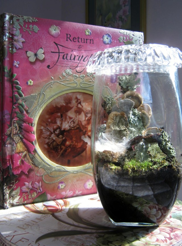 Terrarium with crystal lid