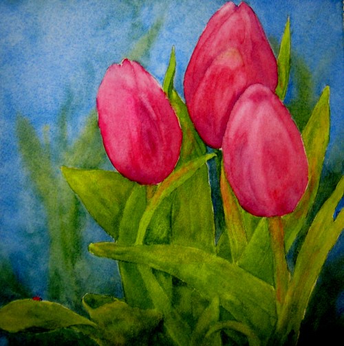 tulips 001
