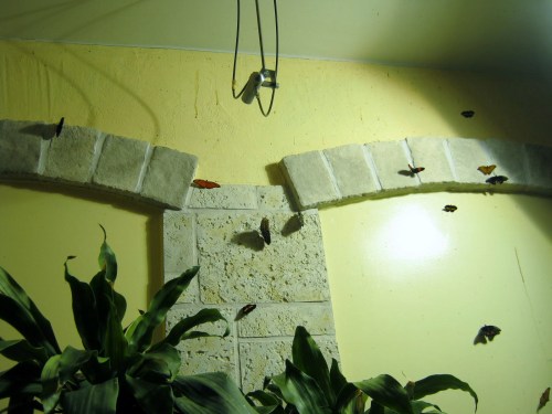 academy of natural science 008