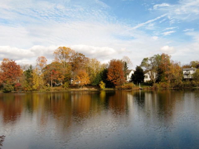 Alcyon Lake