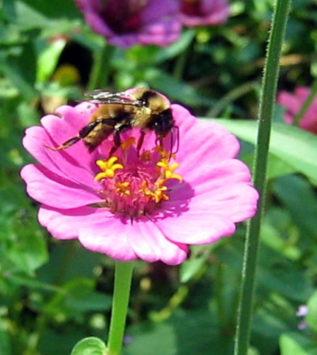 September 12, 2011 029