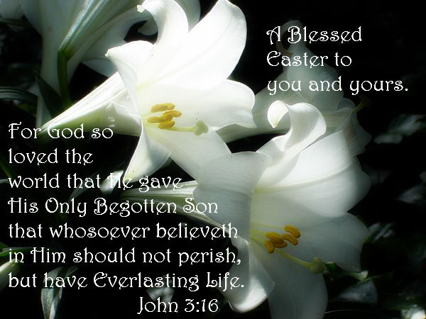 Mustcreate Easter Lilies