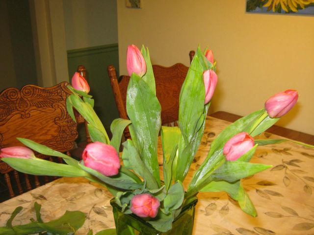 tulip arrangement 7