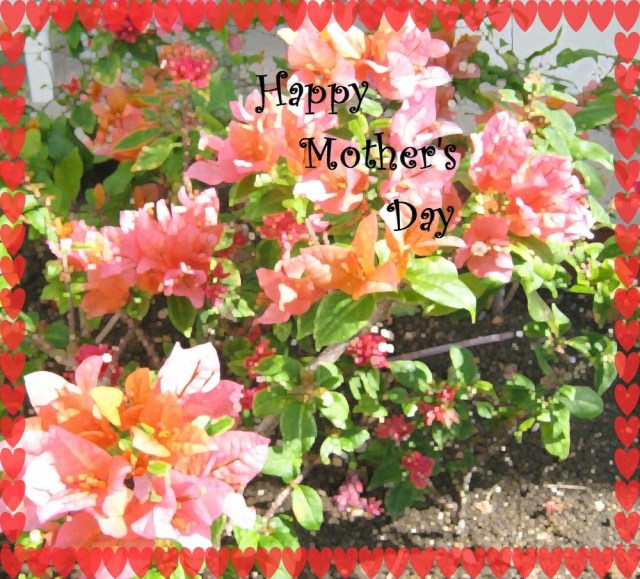 mother's day (2)