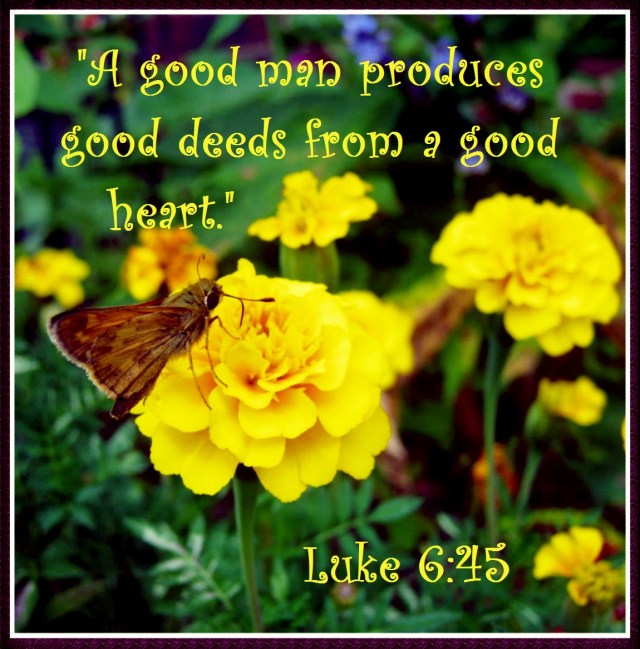 Skipper Butterfly on Marigold