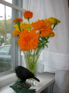 IMG_3725