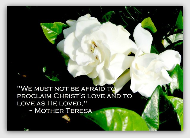 Longwood Gardenia Quote