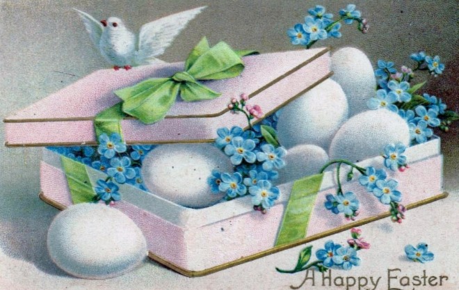 Easter Postcard Forget Me Not