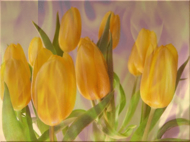 Animation - Fire Effect