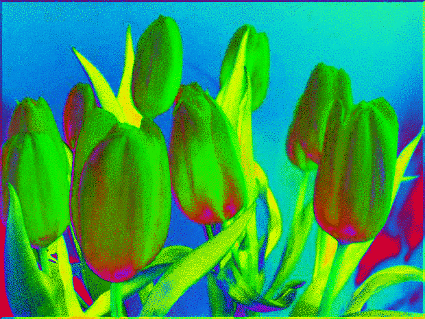 Animation - Groovy Color Effect