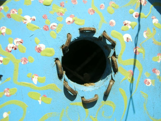 Staples surrounding birdhouse entrance.