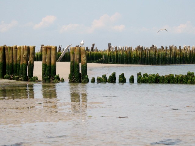 The pilings at Strathmere