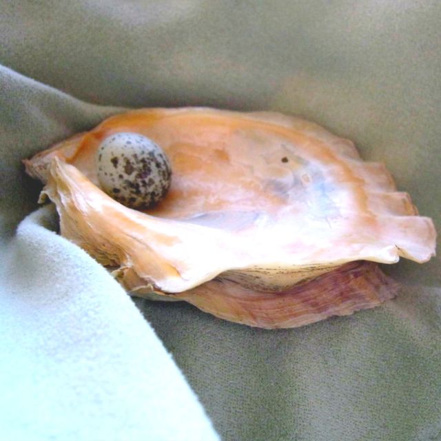 Oyster with Pearly Egg