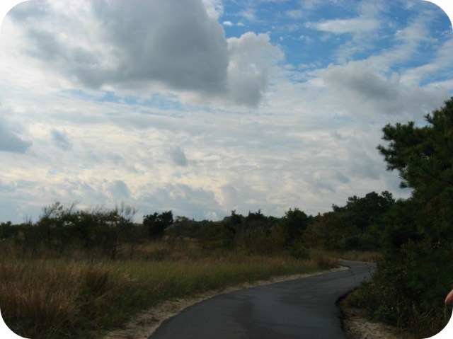 Cape Henlopen, Delaware