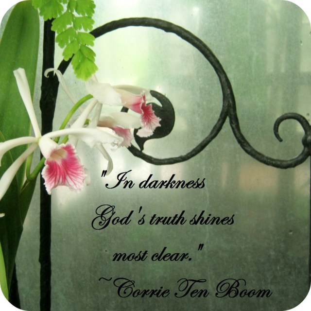 WP Corrie Ten Boom Quote