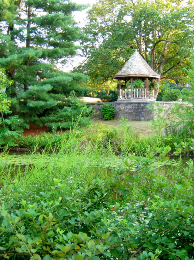 Gazebo - View across the lake. 