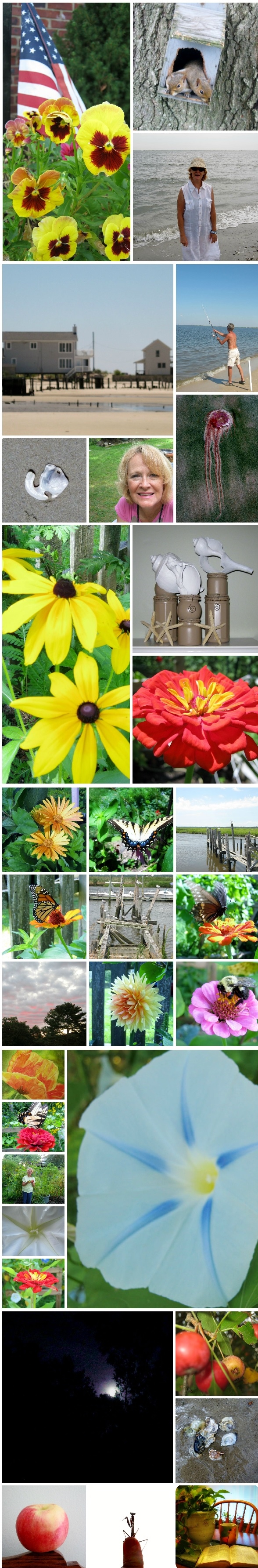 Summer Retrospective