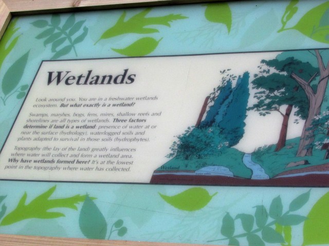 cape may zoo grounds 4