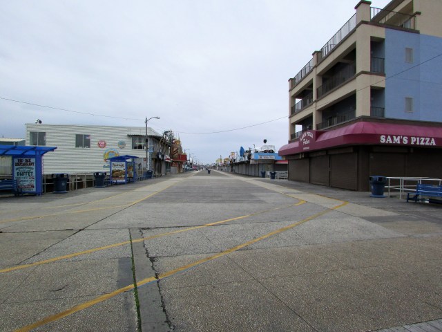 Wildwood 1