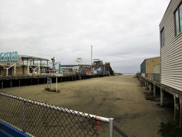 Wildwood 8