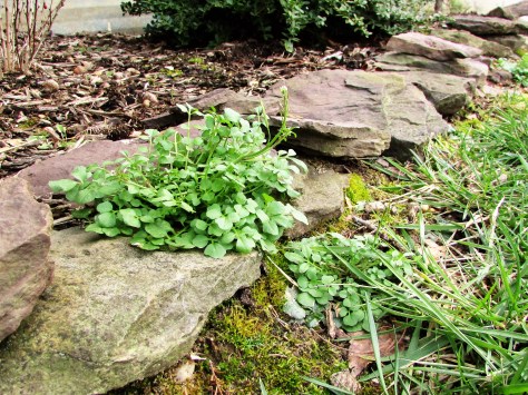  Color Your World - 120 Days of Crayola 