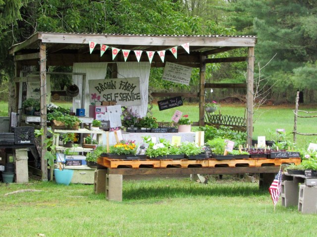 roadside plant stand 4