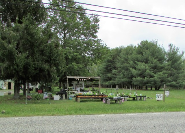roadside plant stand
