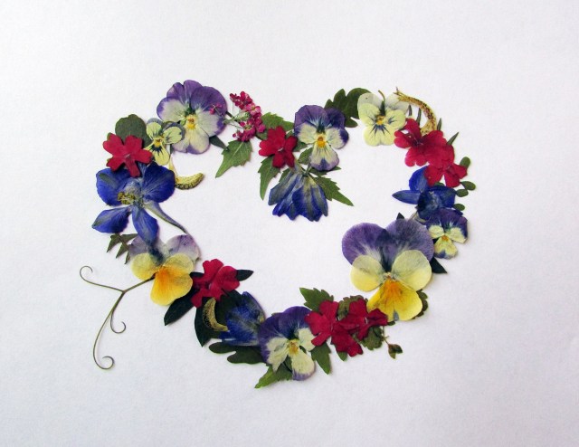 dd-pansy-heart-brilliant-8-5-x-11-jpg