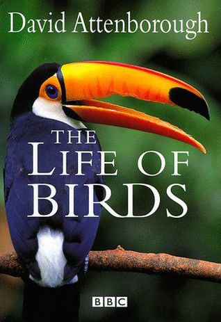 life-of-birds
